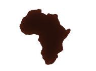 Voir articles de la catégorie Cafs Afrique bio